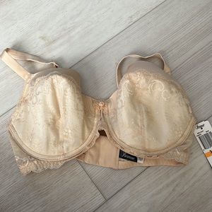 Paramount melody underwire lace bra 34DD